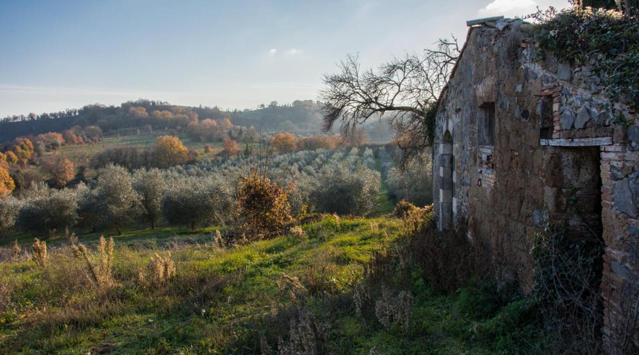 Villa Monteporzano Орв'єто Номер фото